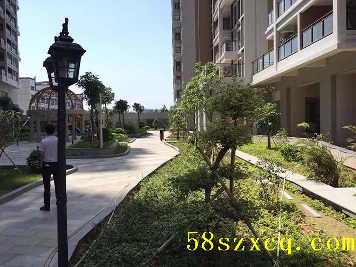 项目名称:中心花园 中心花园是沙井目前规模最大、环境最优美、地理位置最优越、最值得炒楼、升值空间最大的一个花园式小区之一。中心花园位于沙井规模最大的商场---天虹商场隔壁100米处。中心花园占地面积约2万平方米,总建设面积约19万平方米,小区内设有1000平方米会所,1000余个地下停车位;中心花园地处沙井中心区地铁口附近,位于沙井最繁华、发达的中心地段。商业氛围十分浓厚,人气极旺;周边配套设施设备非常成熟、完善。 地理位置优越:中心花园位于沙井最繁华、人口最密集、发展前景最好、地理位置最优越的地段--
